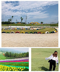 ���ݽ���ſ������ݵذ��ٶ��뼤�飡