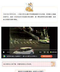 һֻ��ʿ�������Ľ�ͨ�¹� û�뵽�����������