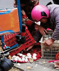 ����ɲ��ʧ�� ���ֳ��෭������һ��