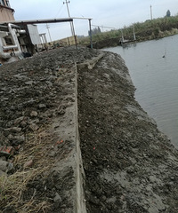 点赞!王江泾河道坍塌堵塞问题已经及时解决~水环境需靠大家监督