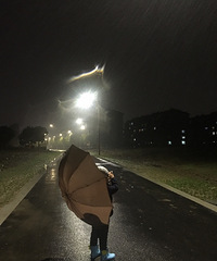 ������·�ϵĴ���Ϻ