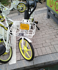 �綯��Ҳ�ϳ����˰�������