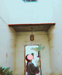 12.8���ݼα�������͸���������ݽ���ſ ��ta�����Լ�ᣡ