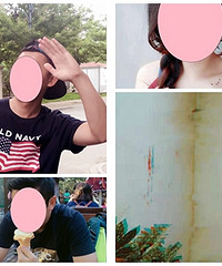 ���ݽ���ſ�����α���͸�������������٤ȯ