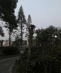 �òҰ�����ҵ��С�������ȫ������ͺ����...