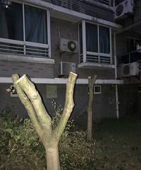 �òҰ�����ҵ��С�������ȫ������ͺ����...