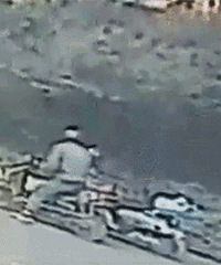 ����С����컯��֮��͵��ͷ��