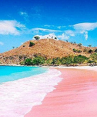 3WԤ������ȥ����������ձ�������