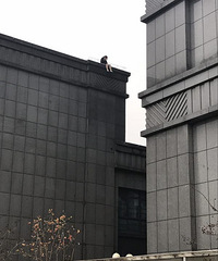 Ů���ڶ�¥Ҫ����