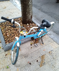 �������ֳ����ٿ����˰�������