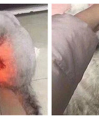 Ц�ޣ���èΪȡů��ë��������