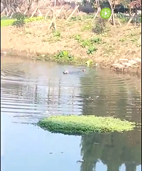 ͻ����������̫�������� ��Ƶ��¼����ů��һĻ����