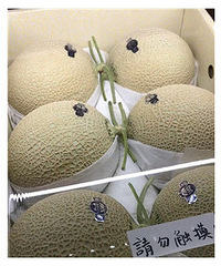 �ձ�ˮ���ж�óԣ�300һ����������