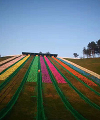 ���㱱�ĺ��ױ������ԭ Բһ����ԭ��