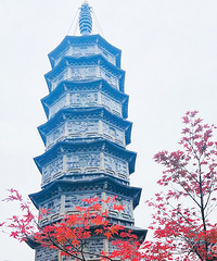 ɹ�ﾰ ÿ�궼ȥ�򿨵�����·��