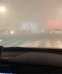 �����������������������