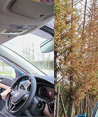 ��������ˡ����裡