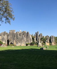 ��������� �������Ϲ�����