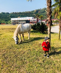 �²������ģ���ɽ��ˮ�л��вݵ�������Դ