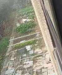 ͻ��������ĳ�ߵ�С�� �����ڲݵ��﷢��һ��ʬ�壡