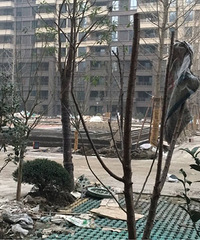 ����ĳ¥�̹�������һȦ 1w7����λ�۸��е�� ���ǽ����ϳ�