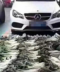 �ü�ʮ������� �˲��ó���������