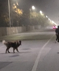 �����֣��޹����鷳��ǣ��߹�Ĺ�����