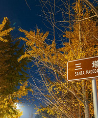 86�����GG �з��г� ����ѧ�� ����12w ������Ӱ