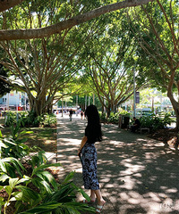 ������Ҫ�ѵ�����ѧ������˶ʿС��� ����170 ������