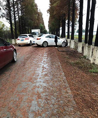 �������������