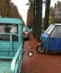 �������������