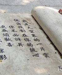 ������Ҫ�ѵ���85��GG ��˾���� ϲ�������� ���Ӽ���