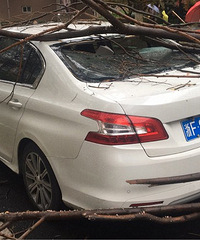 ������������ѵܣ�