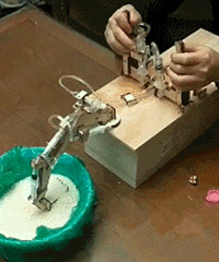 ����ţ�ֻ�4��������ֹ������ھ��