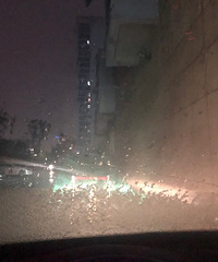 ����������ɢ��������˾��������