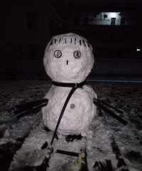 ��ѩ�˿������ǲ���ȫ���˶�ѩ�������һ����