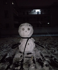 ��ѩ�˿������ǲ���ȫ���˶�ѩ�������һ����