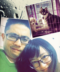 ��������ոպ� ɹһ�����Ǹ�С���ӵ���Ƭ