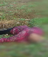 �Ҿ磡����һ��̫�ڻĵ�����