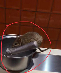 ����һ���������������� ������ʱ���ڽ���̨�ϴ�ҡ��ڵĺ�ˮ