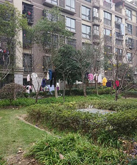 [����]С�����Ͼ���ɹ�·�������զ��