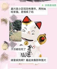 �����ײУ�����ĳС�������蹷˺ҧһֻ��è ֱ�����ҧ����