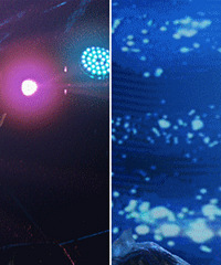 �ݳ�������ͼ�ع� �����