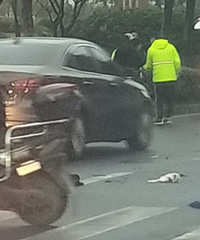 ���գ�����һ��û��������ײ�õ綯��