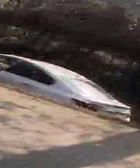 ����һŮ˾�������������