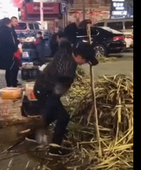 Ц���ˣ�ͩ�����С���ͷ�����