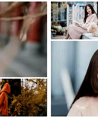 ��һ�ִ���wanghong��˾��ȴ��������ػص���