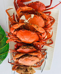去沙巴吃海鲜大餐,巴掌大的皮皮虾你见过吗?