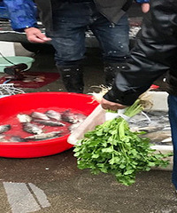 ̯����̯û�˹� С����ɲ��г�