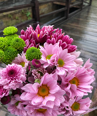 �ж�����